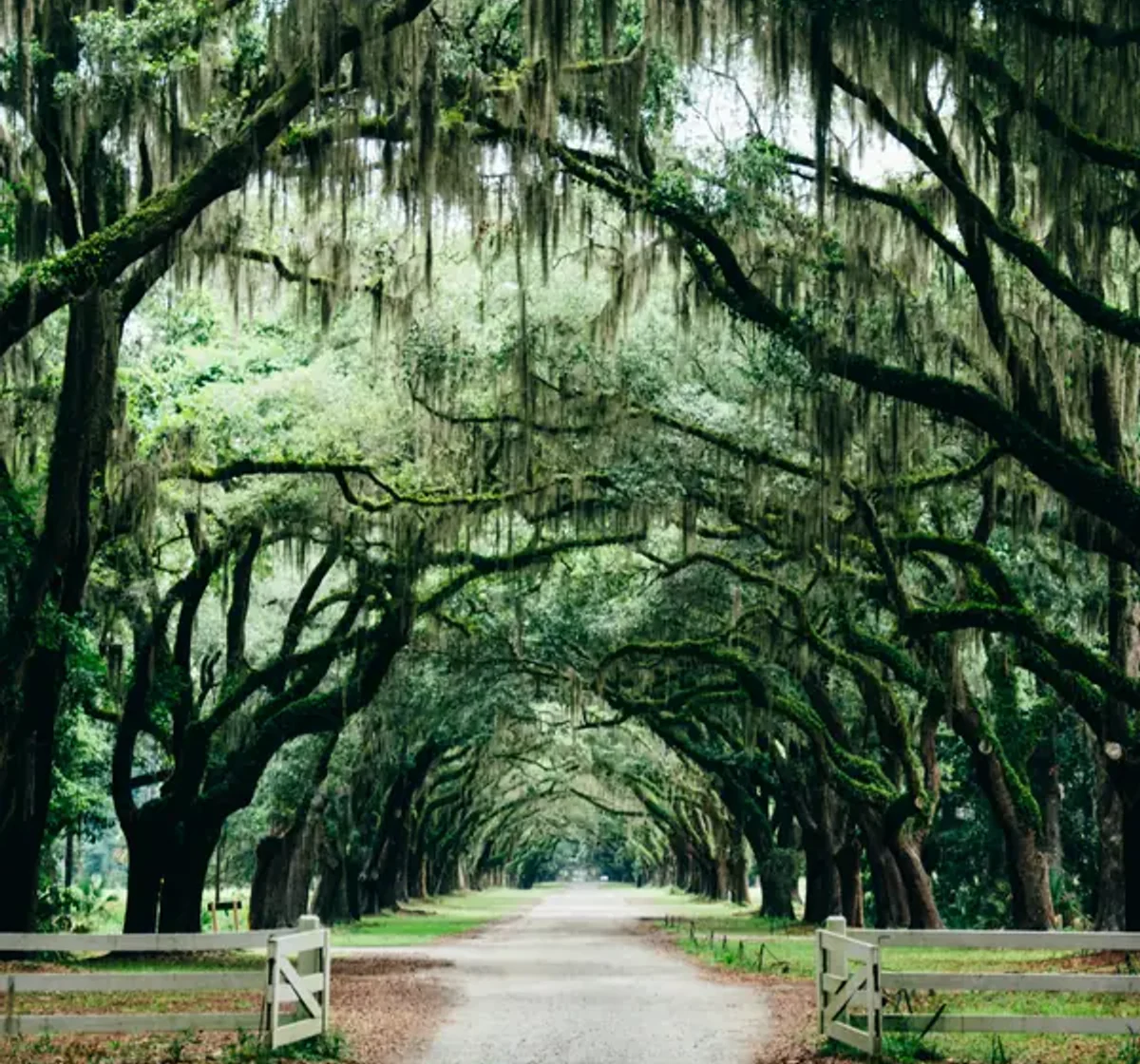 Engagement photos in Savannah, GA