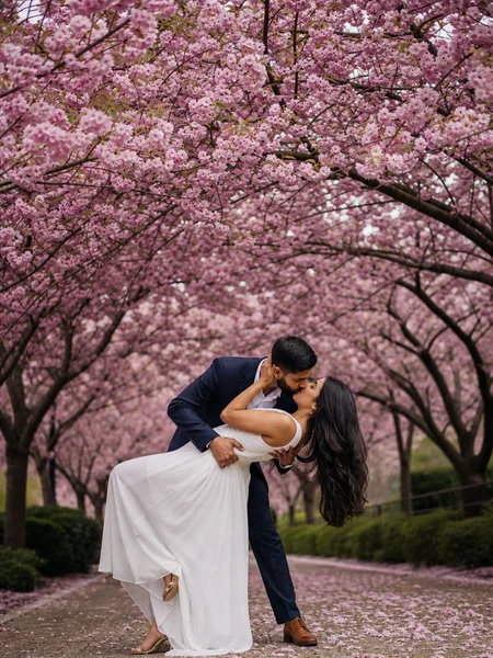 Groom dipping his bride-to-be for a kiss under white and pink cherry blossoms, engagement photos.