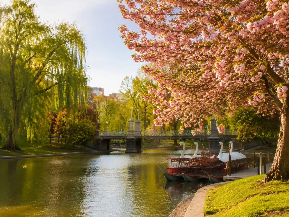 Boston Public Garden Lagoon