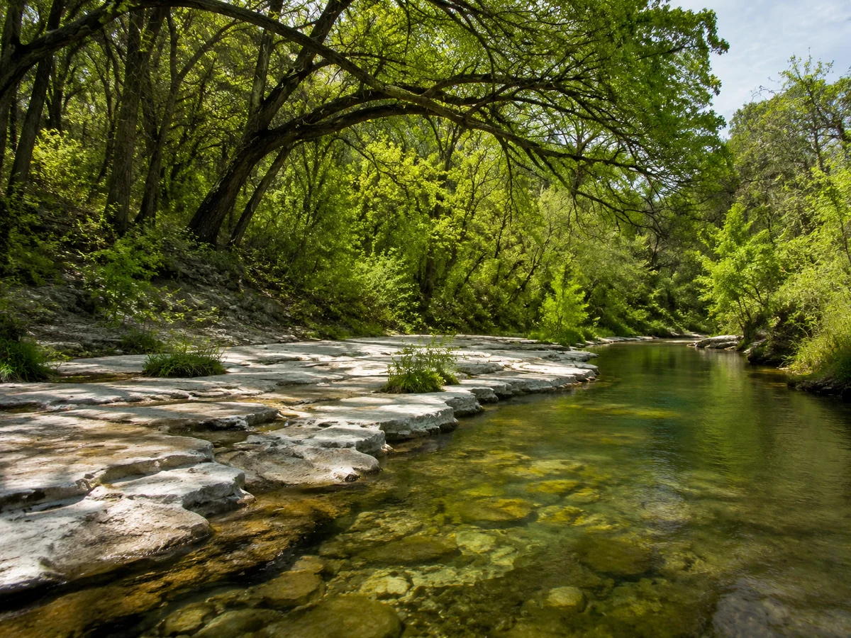 Bull Creek District Park