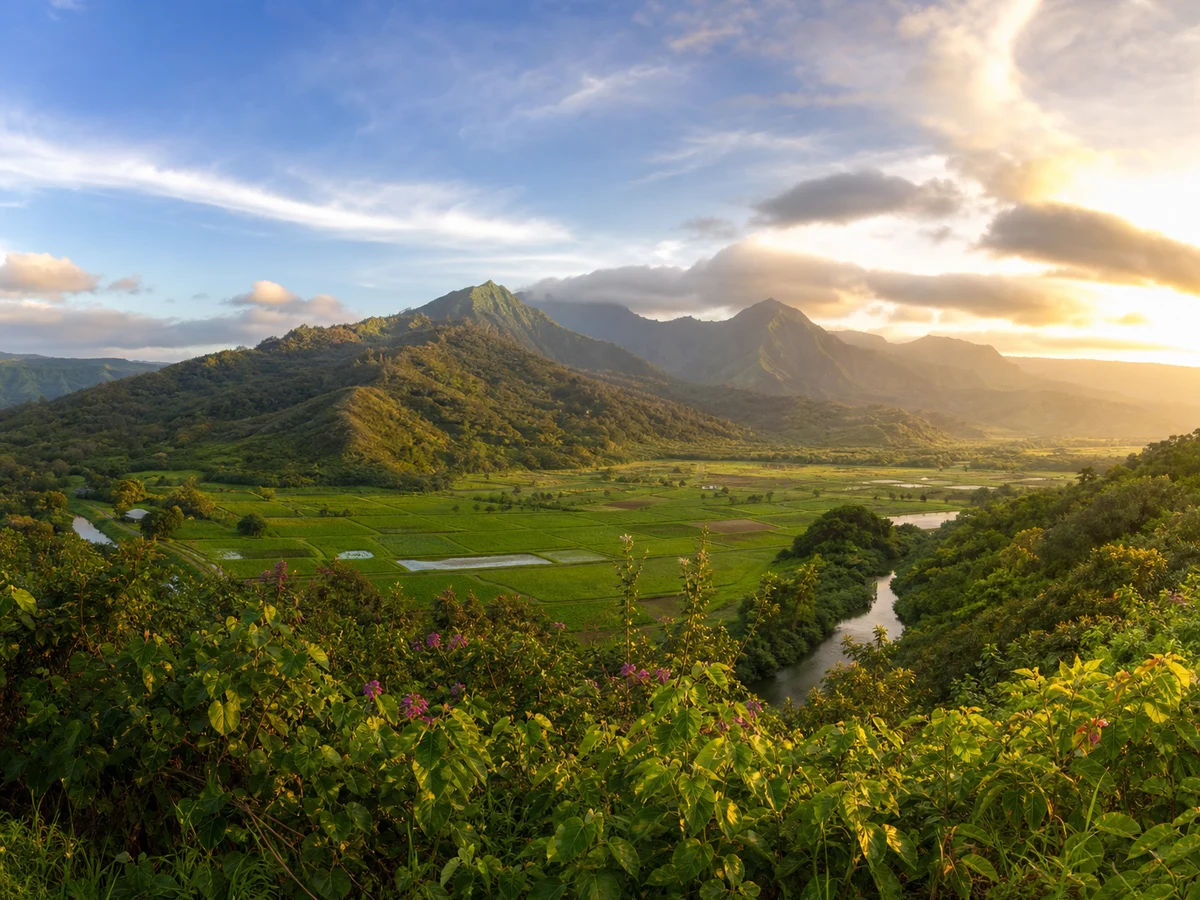 Hanalei Valley Lookout