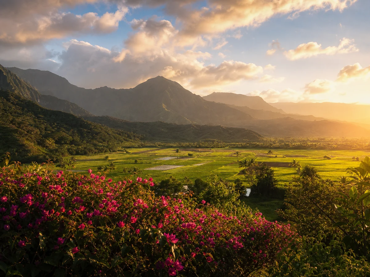 Hanalei Valley