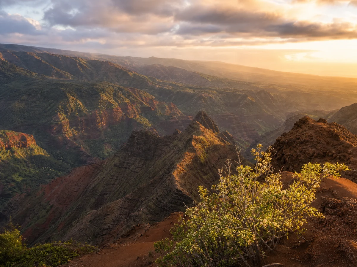 Waimea Canyon
