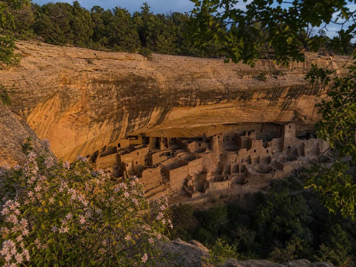 Cliff Palace