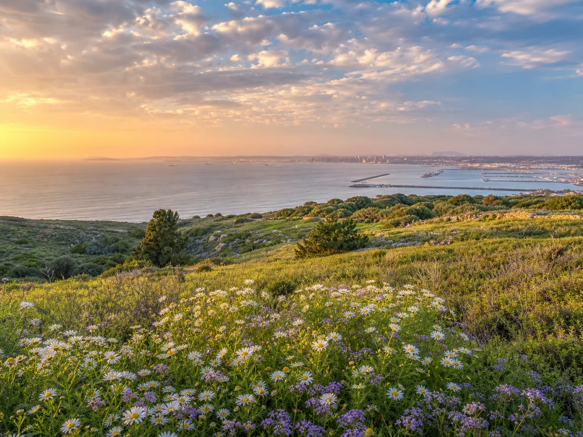 Point Loma