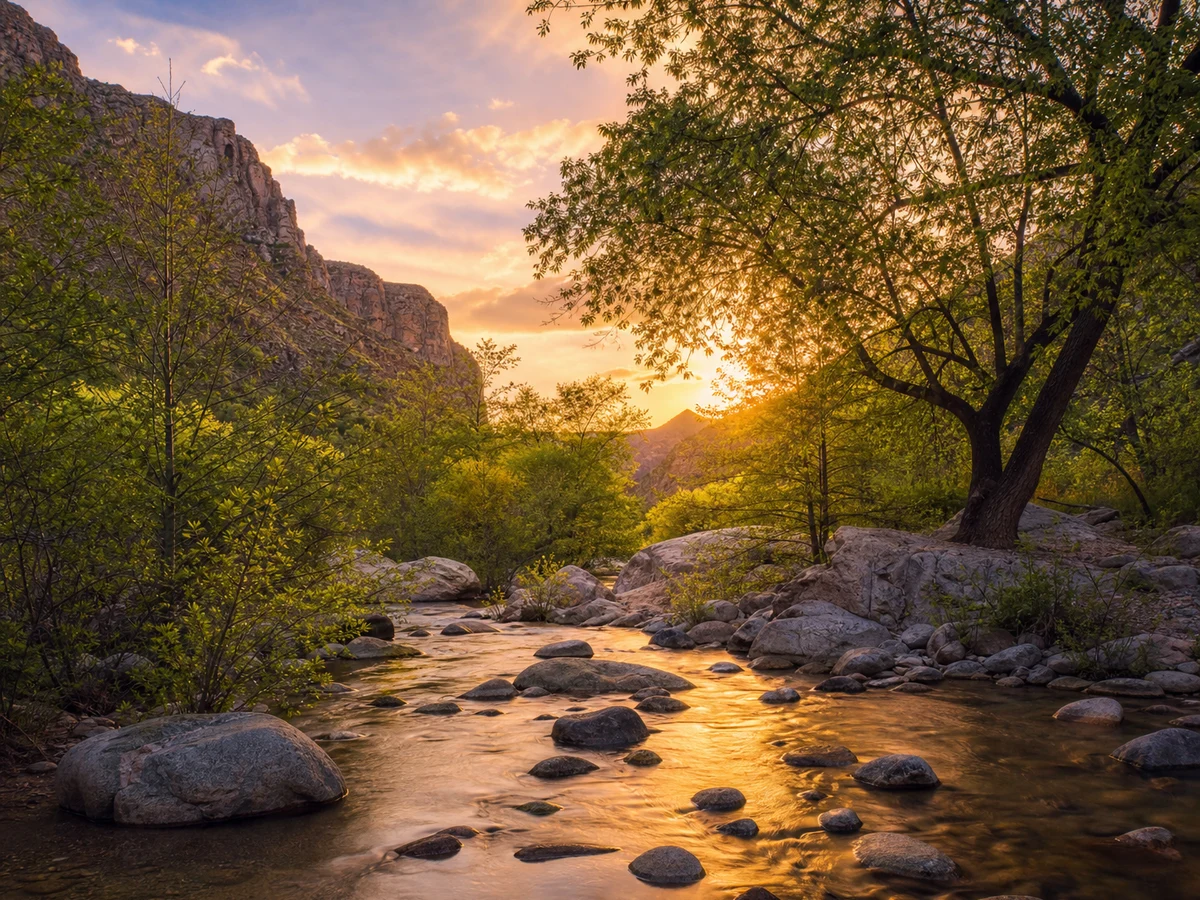 Sabino Canyon