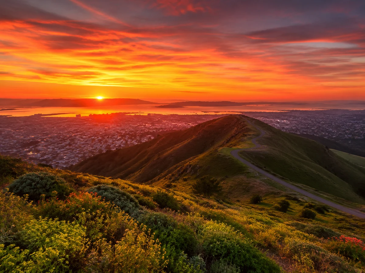Twin Peaks