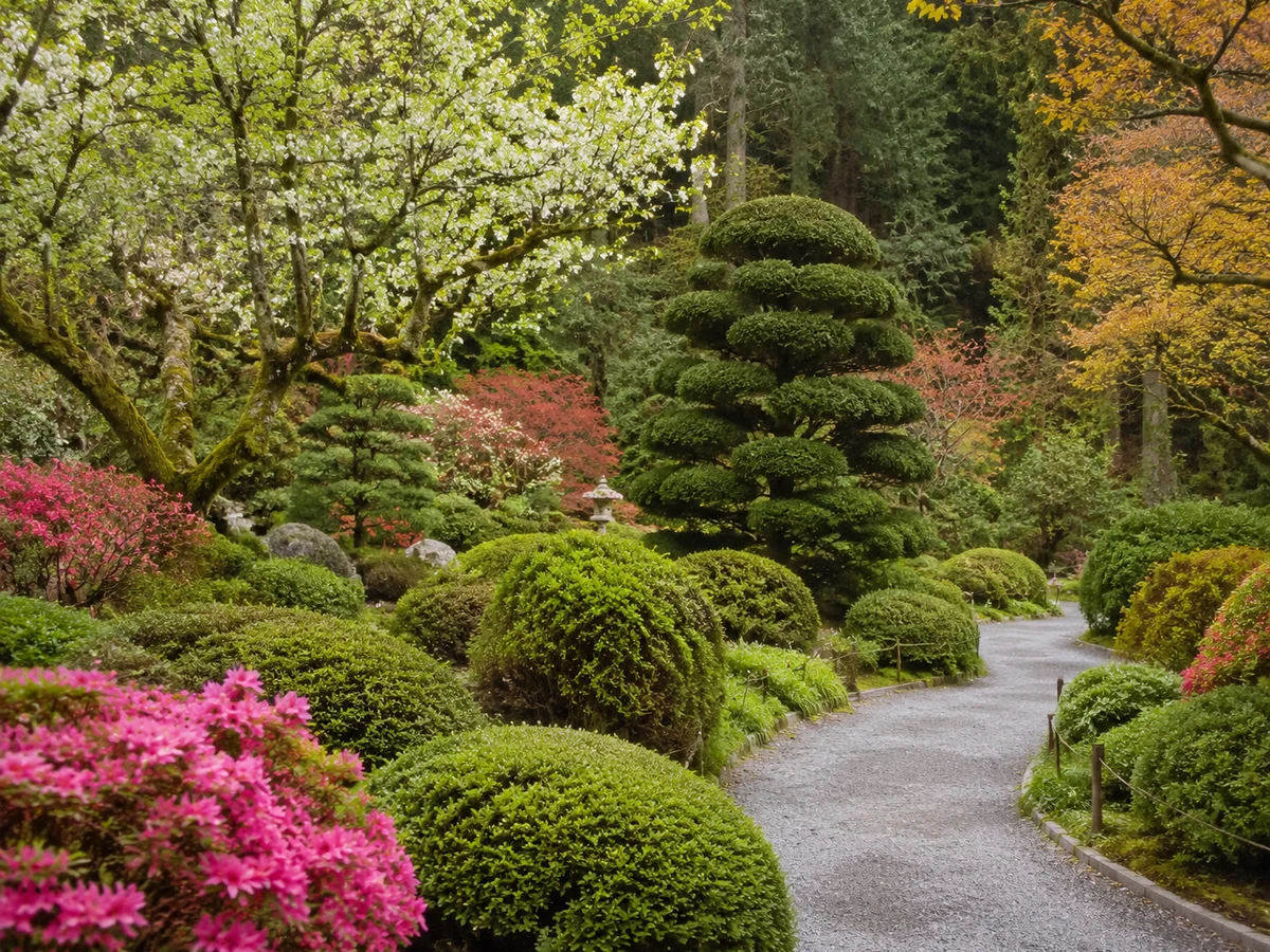 Washington Park Arboretum